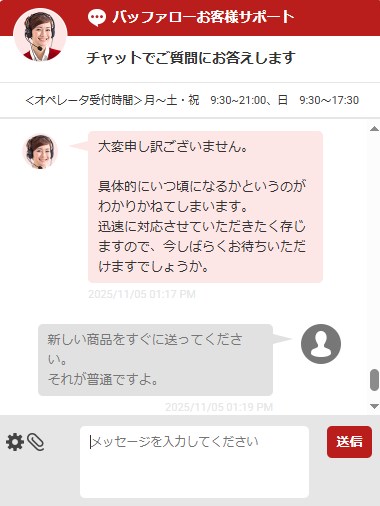 BUFFALOは対応が悪く悪気もなく抽象的な表現ばかり返してくるチャット画像